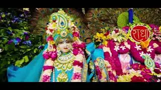 Hemant brijwasi Ne sunayen Premanand Maharaj Ko bhajan#Radha Radha #Premanand Maharaj ji#Hemant br