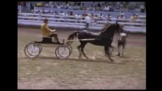 Morgan Shows USA  reel 3 1971&1973
