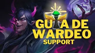 LA GU&Iacute;A DE WARDEO DEFINITIVA PARA SUPPORTS!