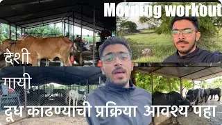 Morning on Farm: Fitness and Milking Cows by Natural Way | Village life | Organic farming | new vlog