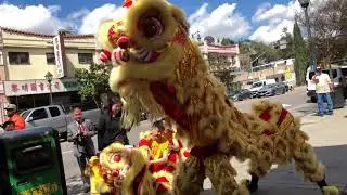 Yau Kung Moon USA :: Los Angeles Lion Dance 2018