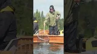 Adventure North! #fishing #flyfishinglife #podcast #flyfishing #fish #floatplane #ontario #shorts
