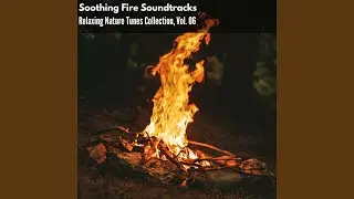 Tree Squirrel Noise