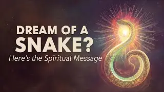 8 Spiritual Meanings of Snake Dreams