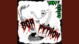 Boa Vs. Python