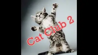 Fun Bedtime Story For Kids | Heidi Cherry & Vaya - Cat Club #2