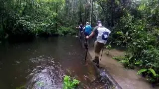 The Amazon Experience