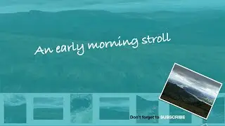 An Early Morning Stroll