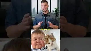 🤯 Хасбик и крипта? Новый токен, который может повторить путь Dogecoin!