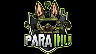 Crypto Gems ft. PARA INU (PARAINU) MASSIVE POTENTIAL  Stealth Launch Today MASSIVE Token Burns