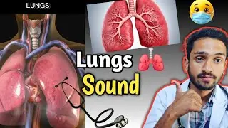 &ldquo;Aapke Lungs Kaunsa Sound Karte Hain? Sun Kar Shock Ho Jaoge!&rdquo; || lungs sound in respiratory arrest 