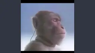 Ape Waves