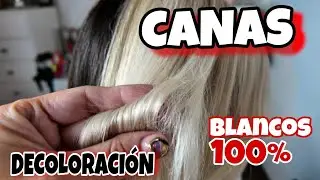 TINTES especiales para CANAS y tonos Blancos DECOLORACION