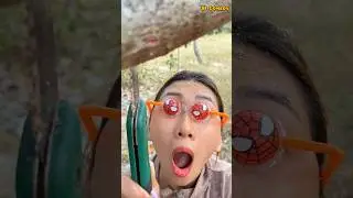 with chashma with chiku #bushcraftWow SMART idea and USEFUL candy #camping #outdoors#useful#funny