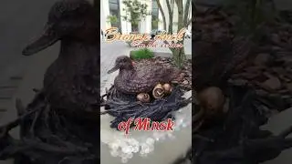 Бронзовая утка на клумбе в центре Минска#anatolipodrezov