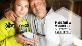 VLOG 124 🕊️🏆MARATON w wykonaniu MISTRZ&Oacute;W K&K BENDZMER 🔥02.07.2023 Bad Bentheim 750 km