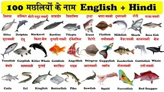 100 Fish Names in English and Hindi | मछलियों के नाम | indian fish name in hindi |
