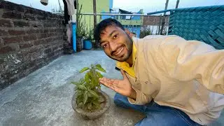 I have breakfast | मेरा नाश्ता है🥰