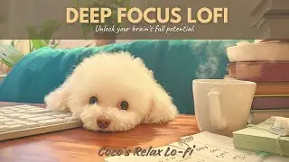 Deep Focus Lofi ☕️ Music to Study & Work Efficiently