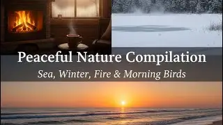 Nature WhatsApp Status Video Pure Nature in 4K | Ocean, Sunrise, Fire, Winter & Birds