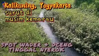 Kalikuning, the river that recedes in the dry season