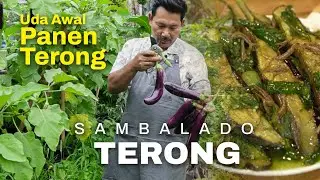 Sambalado Hijau Terong - Hasil Kebun sendiri - UDA AWAL
