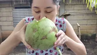 A glimpse of a normal day living in the Island. 🏝️🌿
