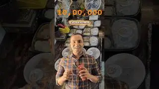 Сколько денег вам нужно, чтобы открыть облачную кухню в Индии?