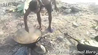 Kongir