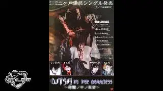 WISH IN THE DARKNESS  -  Sakuran Mousou MONOKURO FILM