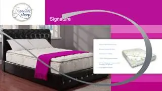 Signature Sleep Signature 13