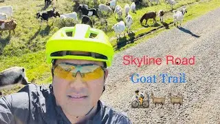 Skyline Road & Trail 44 | 4K