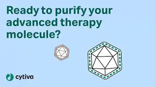 Advanced therapeutics: Downstream purification technologies