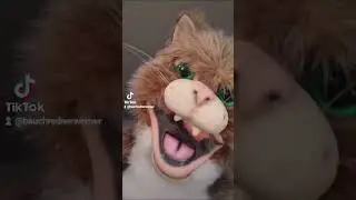 Bauchredner Werner M&uuml;ller coole Katze - ventriloquist cool cat - Tommy kann auch Emoji Challenge😠😁😟🤪