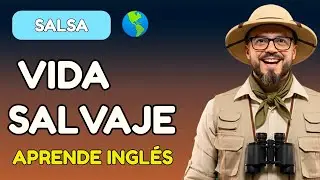 Into the Wild | Nivel A2 | Animales, H&aacute;bitats y Acciones en Ingl&eacute;s