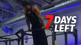 Full Body Endurance for Calisthenics Battle