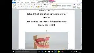 TOOTH SURFACE IN PASHTO