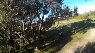 FPVX QAV250 pushing my skills, too much.