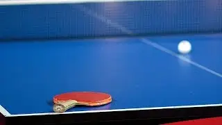 Table Tennis 