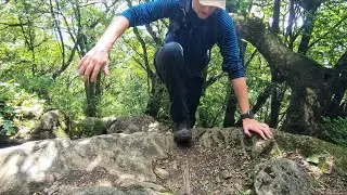 Mt. Kosho REVENGE! Beautiful green forest | Hiking in Japan (Fukuoka)