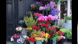 modern flower shop