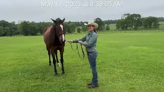 Non-Pro Ranch Conformation-Kelly Hart and Kisstheothercheek