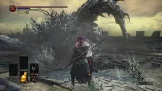 STRAY DEMON - DARK SOULS&trade; III  The Fire Fades&trade; Edition 20251228101858