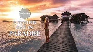 Phil Collins - Another Day In Paradise [House]