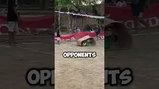 Cardboard Hamster Wheel Spin Olympics Game Sport (📸: aandkaaa)