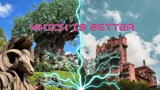 Ranking Every Ride In Hollywood Studios and Animal Kingdom