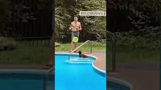 #imaginationtv #infinitytv #shorts #shortvideo #shortsviral  #shortsviral #tiktok #tiktokviral