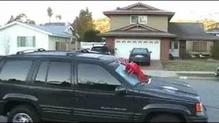 Daryl's New Gift