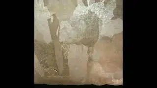Scanned Synthetic surfaces