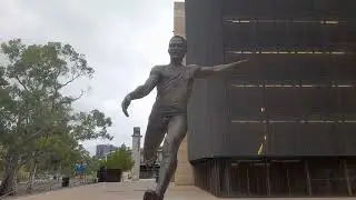 Red gum Forest river  and a view of Adelaide Oval.. കാണാം കാഴ്ചകൾ